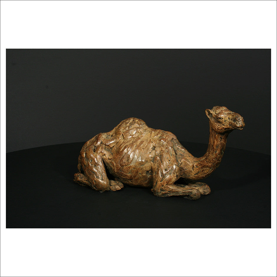 Camel Sitting