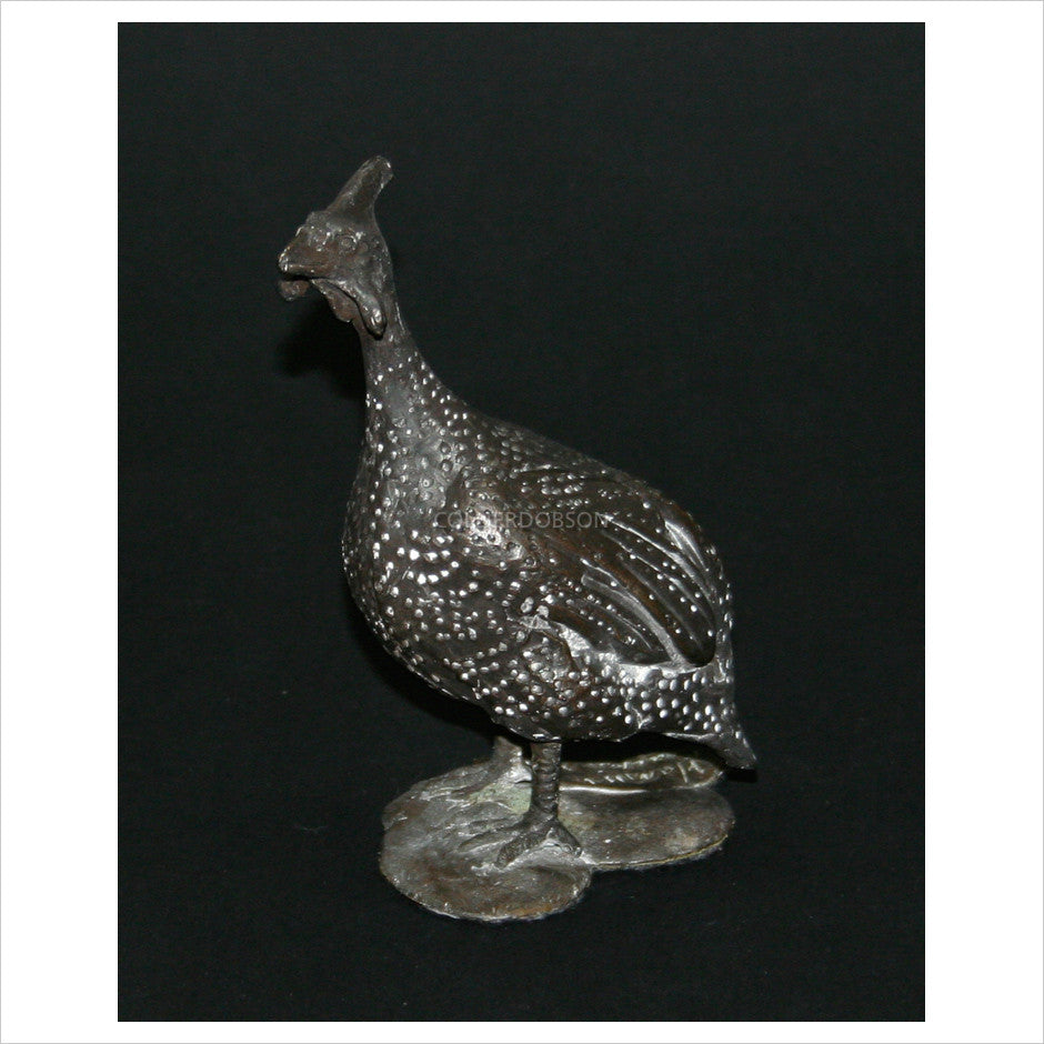 Guinea Fowl - Looking by Hamish Mackie