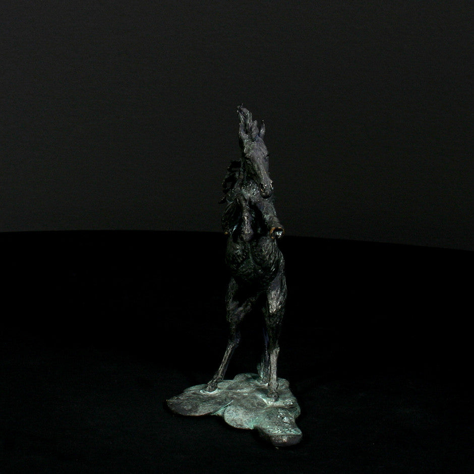 Goodman's Arab Stallion - Scale 1:18