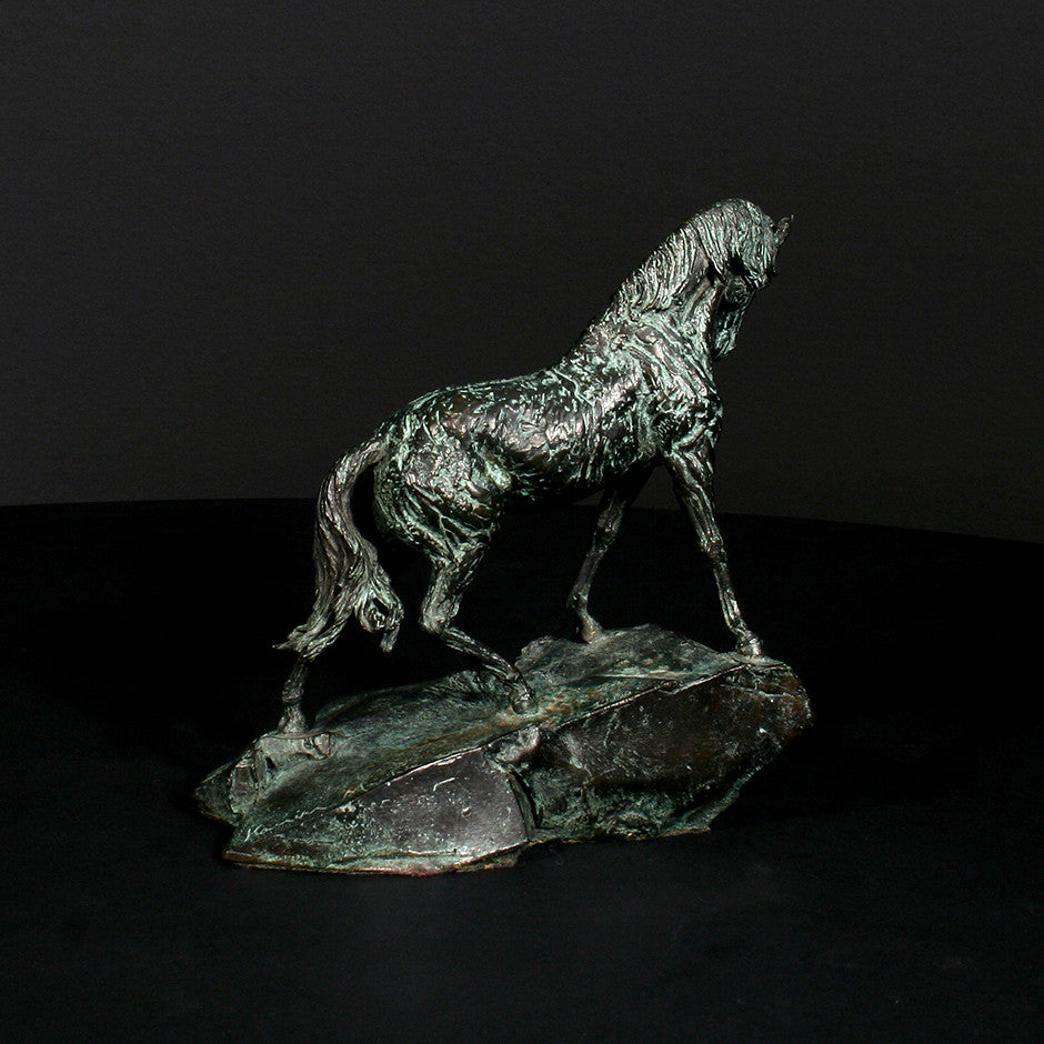 Goodman's Andalusian Stallion - Scale 1:18