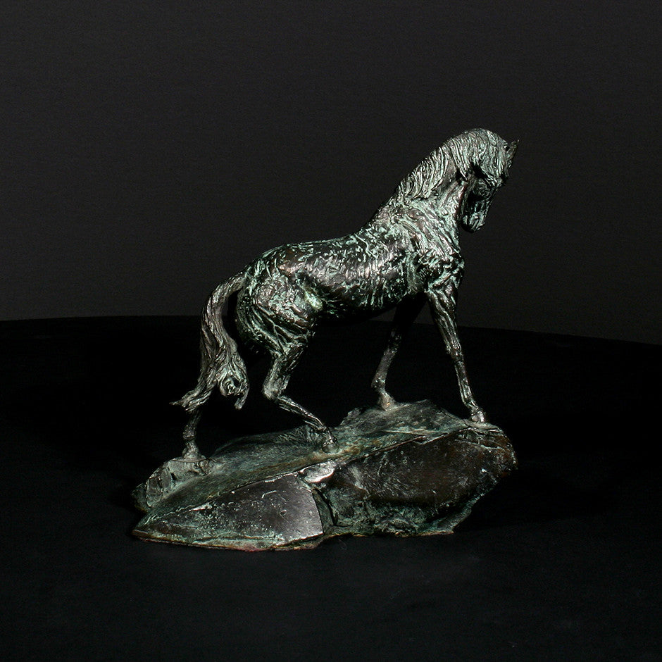 Goodman's Andalusian Stallion - Scale 1:18