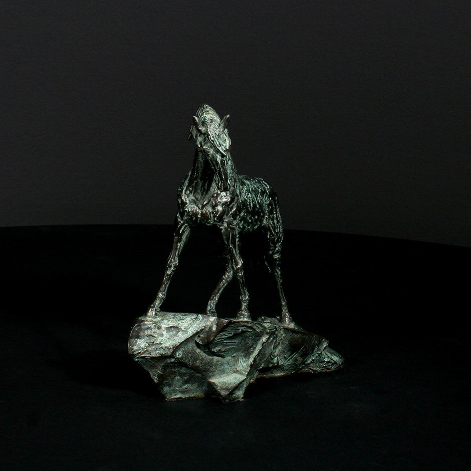 Goodman's Andalusian Stallion - Scale 1:18