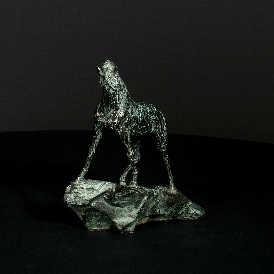 Goodman's Andalusian Stallion - Scale 1:18