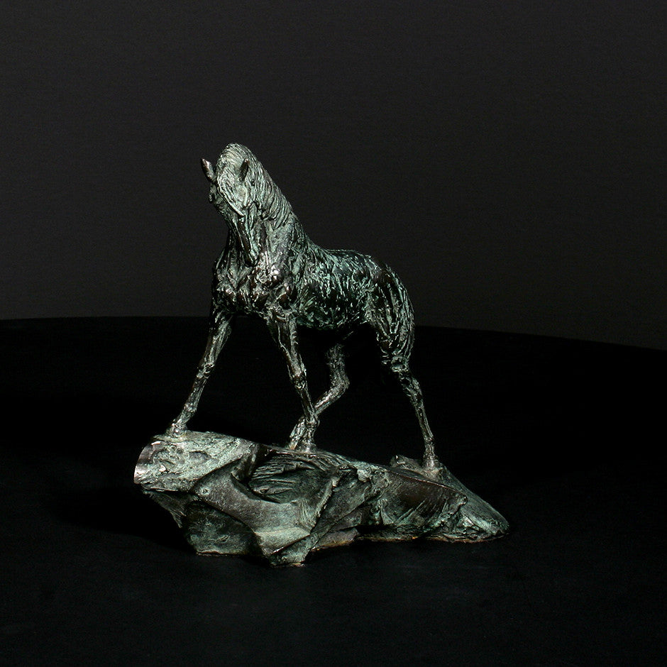 Goodman's Andalusian Stallion - Scale 1:18