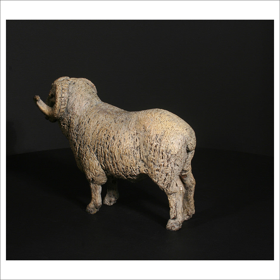Merino Ram