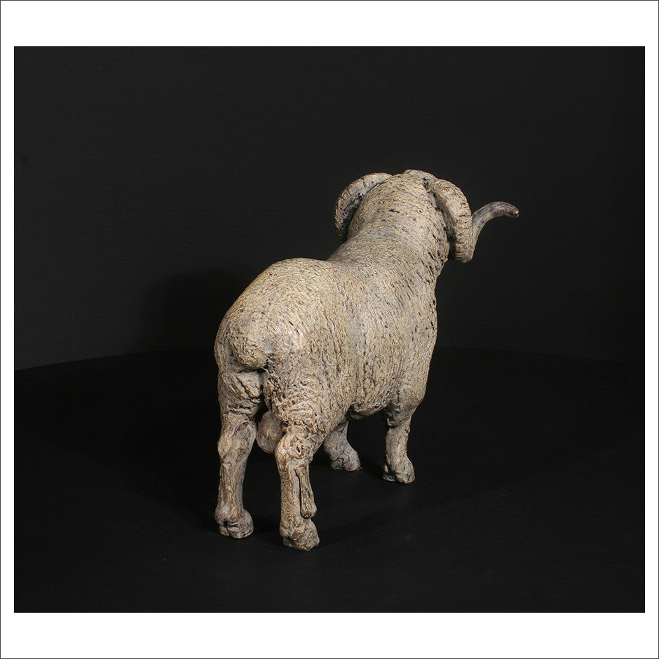 Merino Ram
