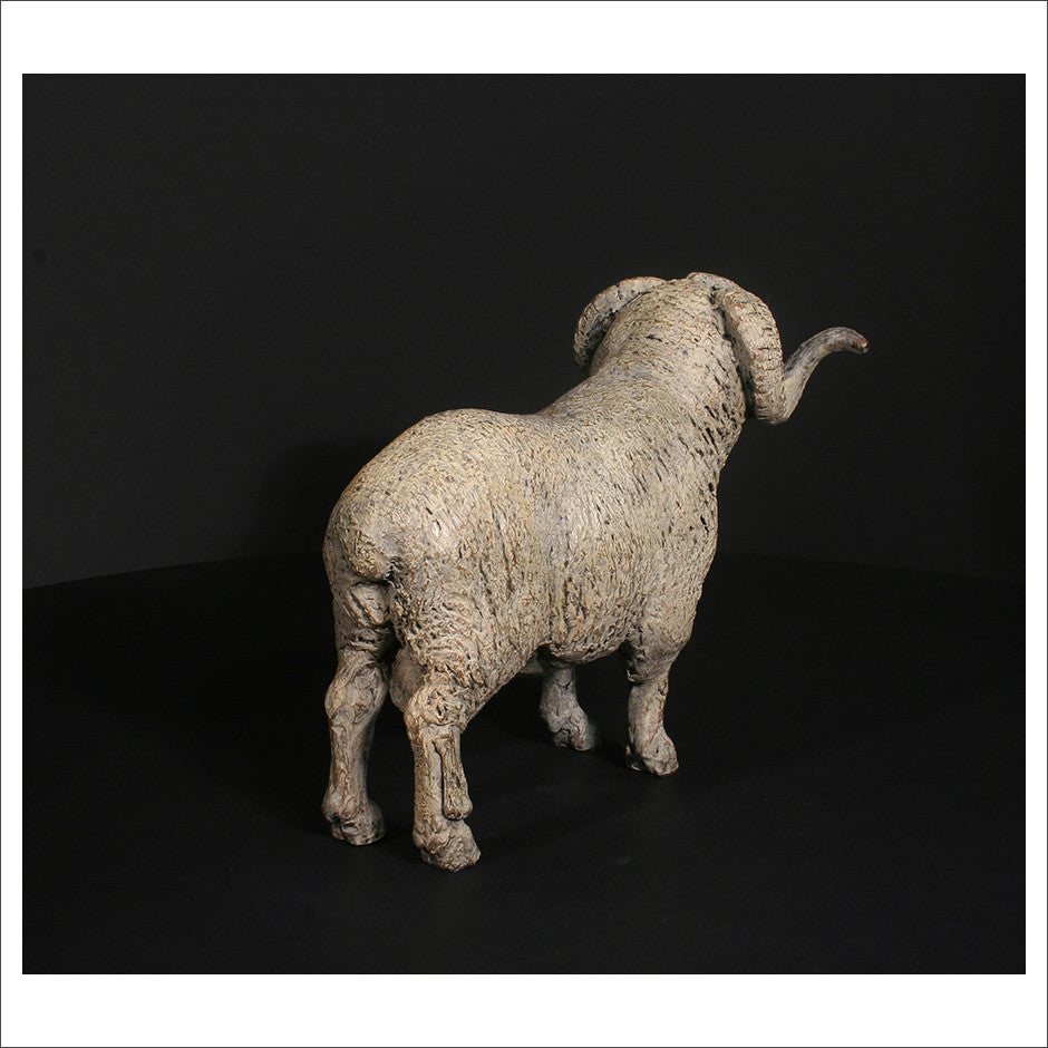 Merino Ram