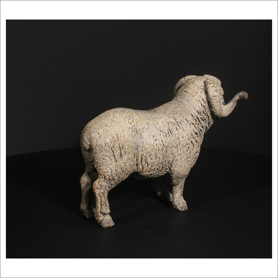 Merino Ram
