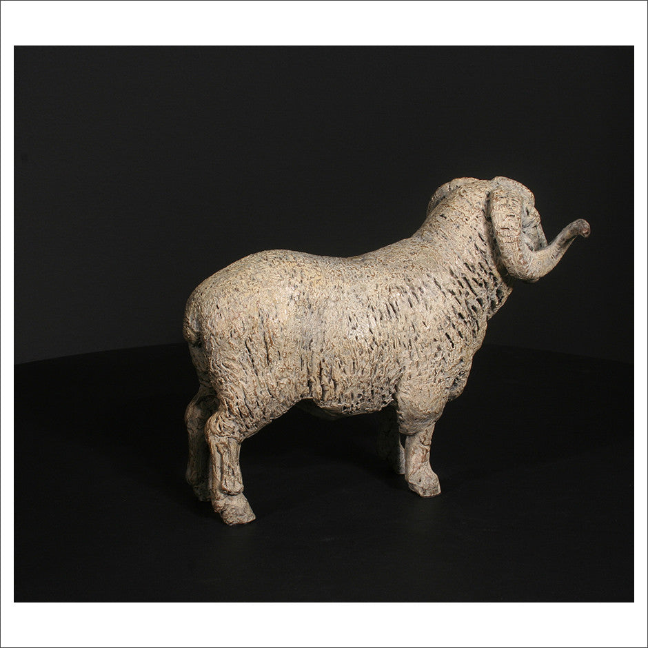 Merino Ram