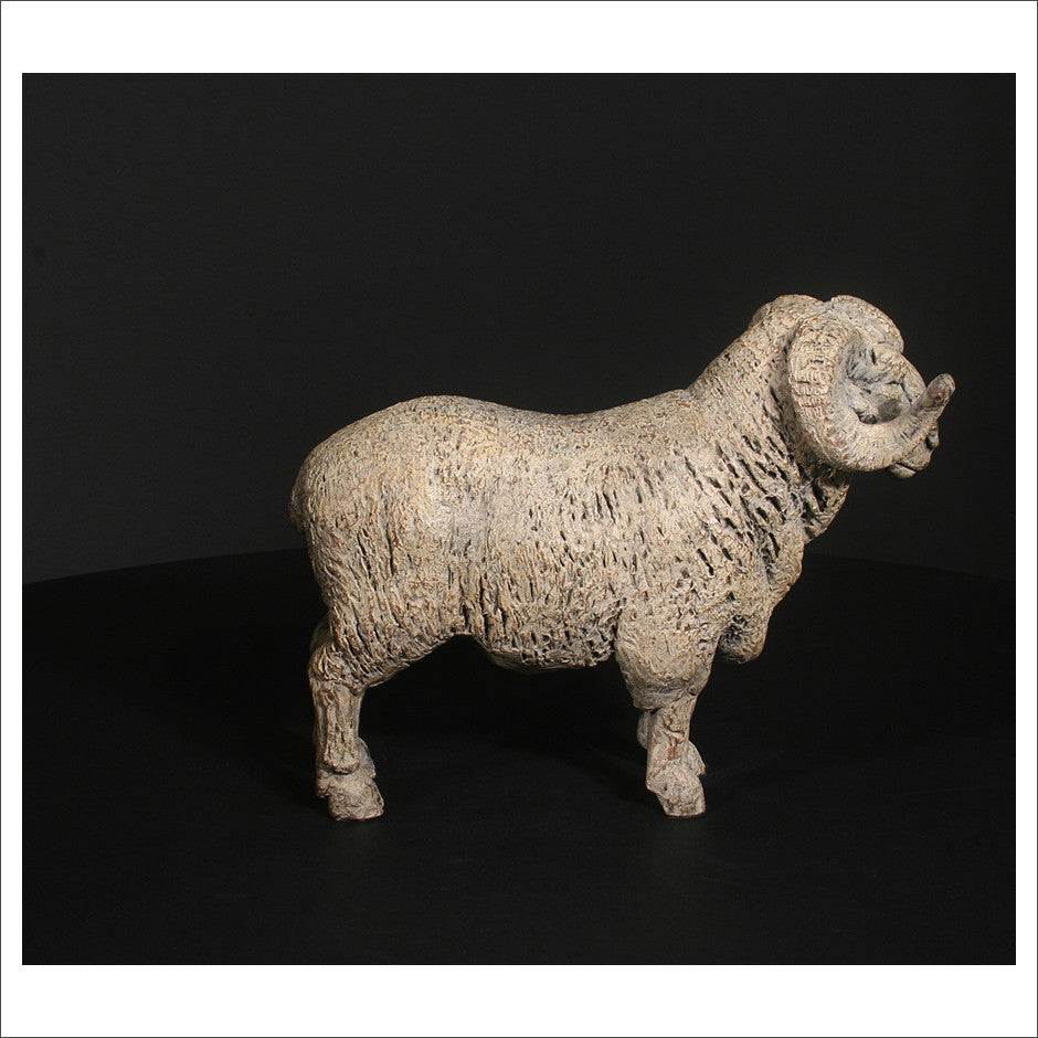 Merino Ram