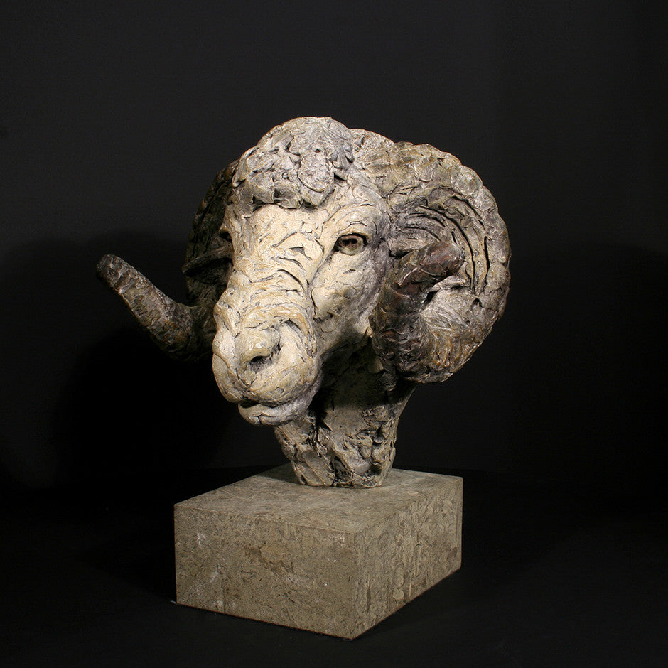 Merino Ram Head