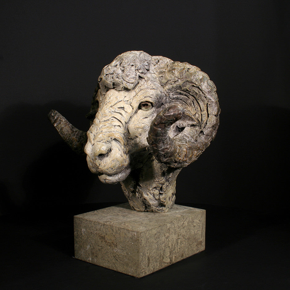 Merino Ram Head