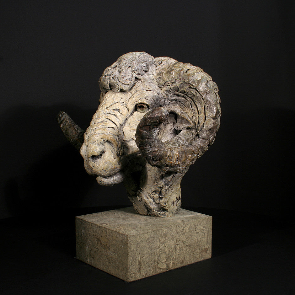 Merino Ram Head