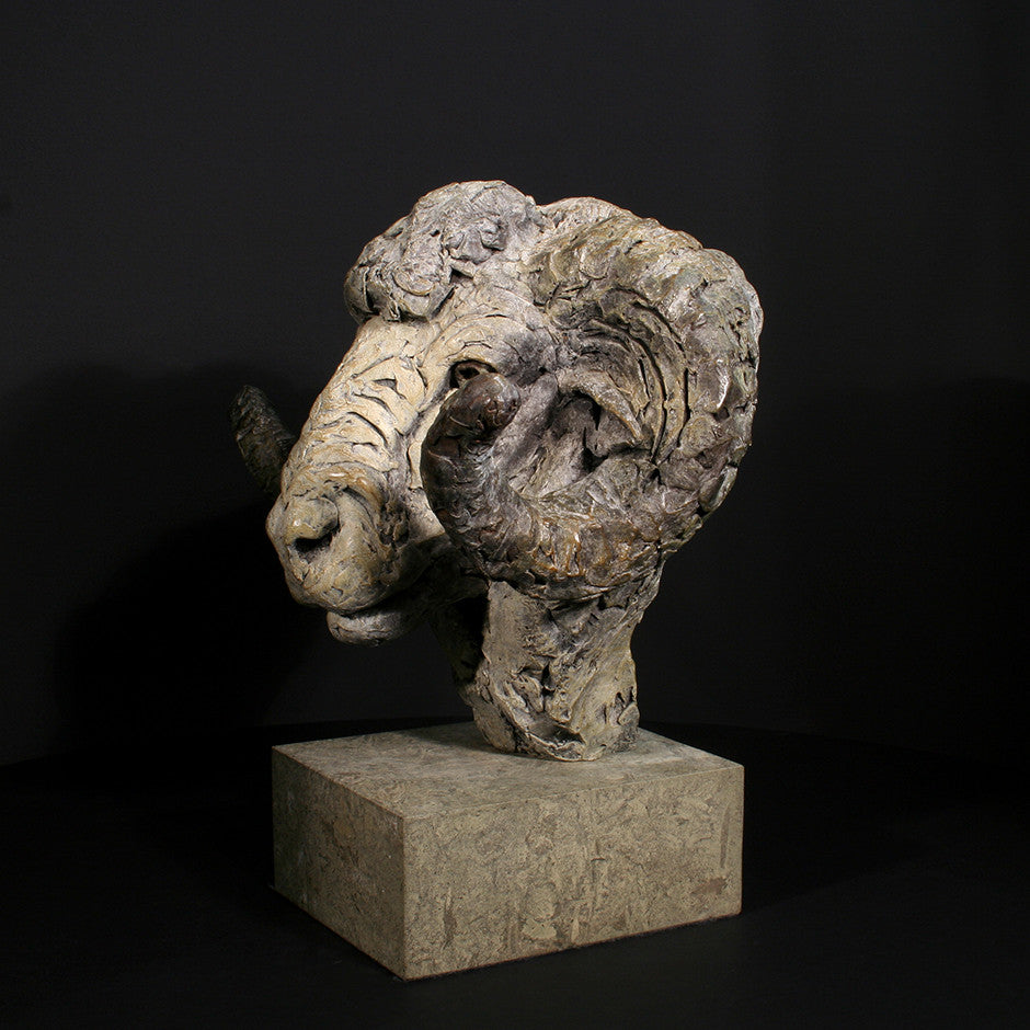 Merino Ram Head