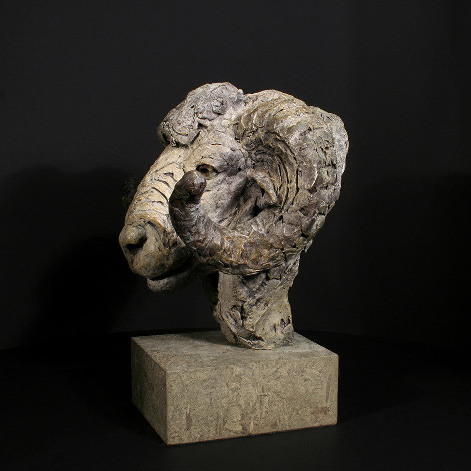 Merino Ram Head