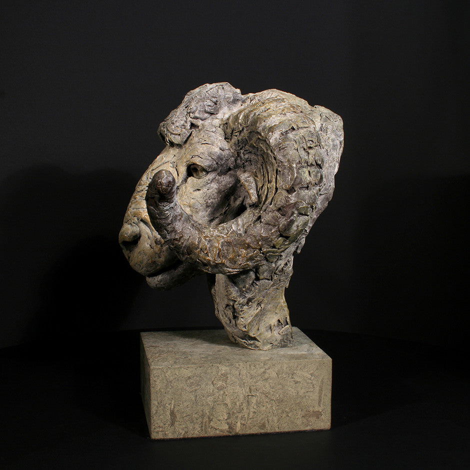 Merino Ram Head