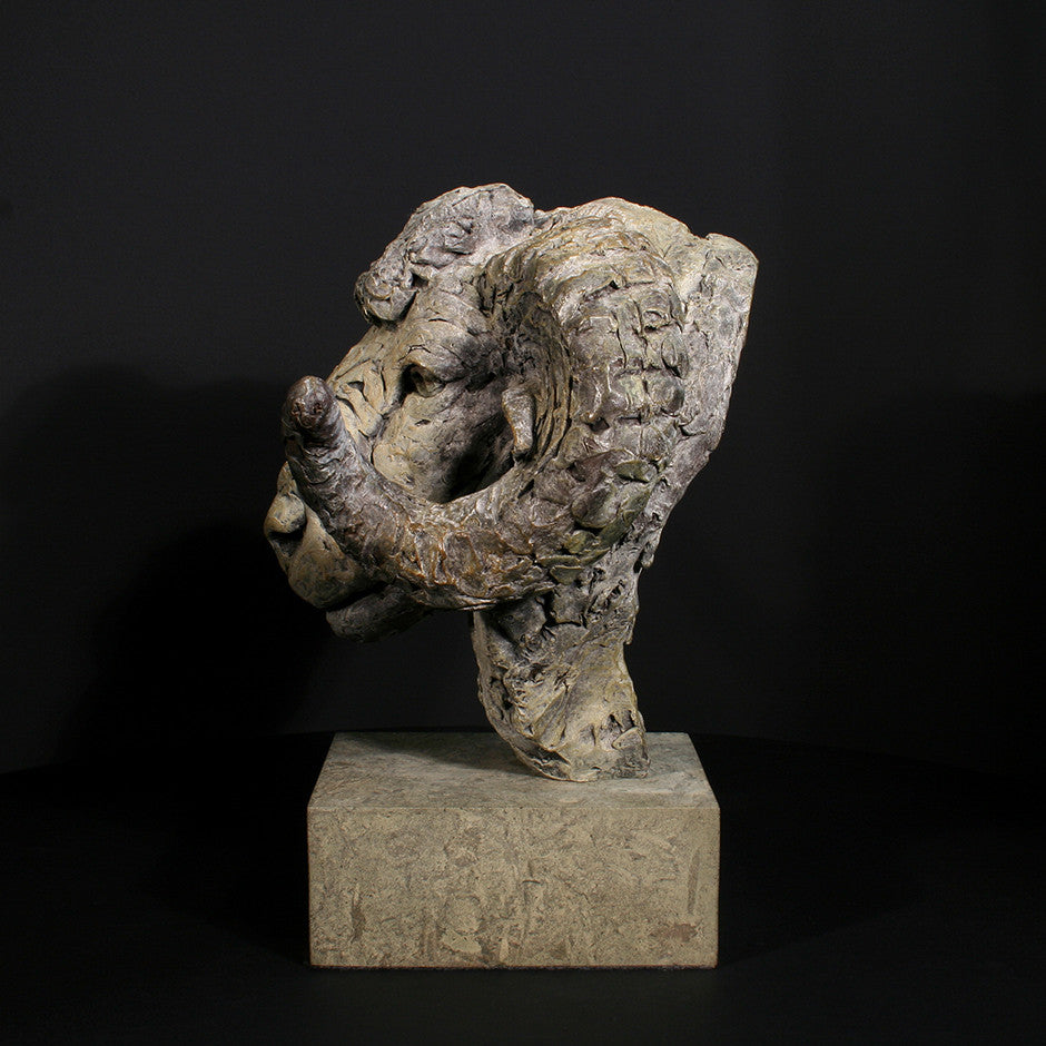 Merino Ram Head