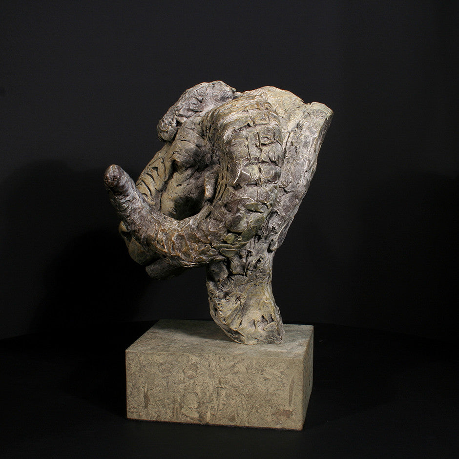 Merino Ram Head