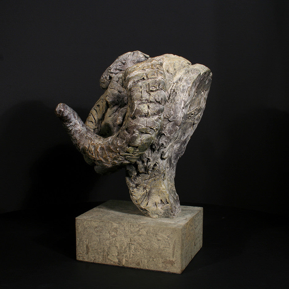 Merino Ram Head
