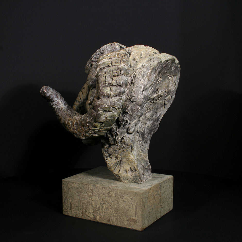 Merino Ram Head
