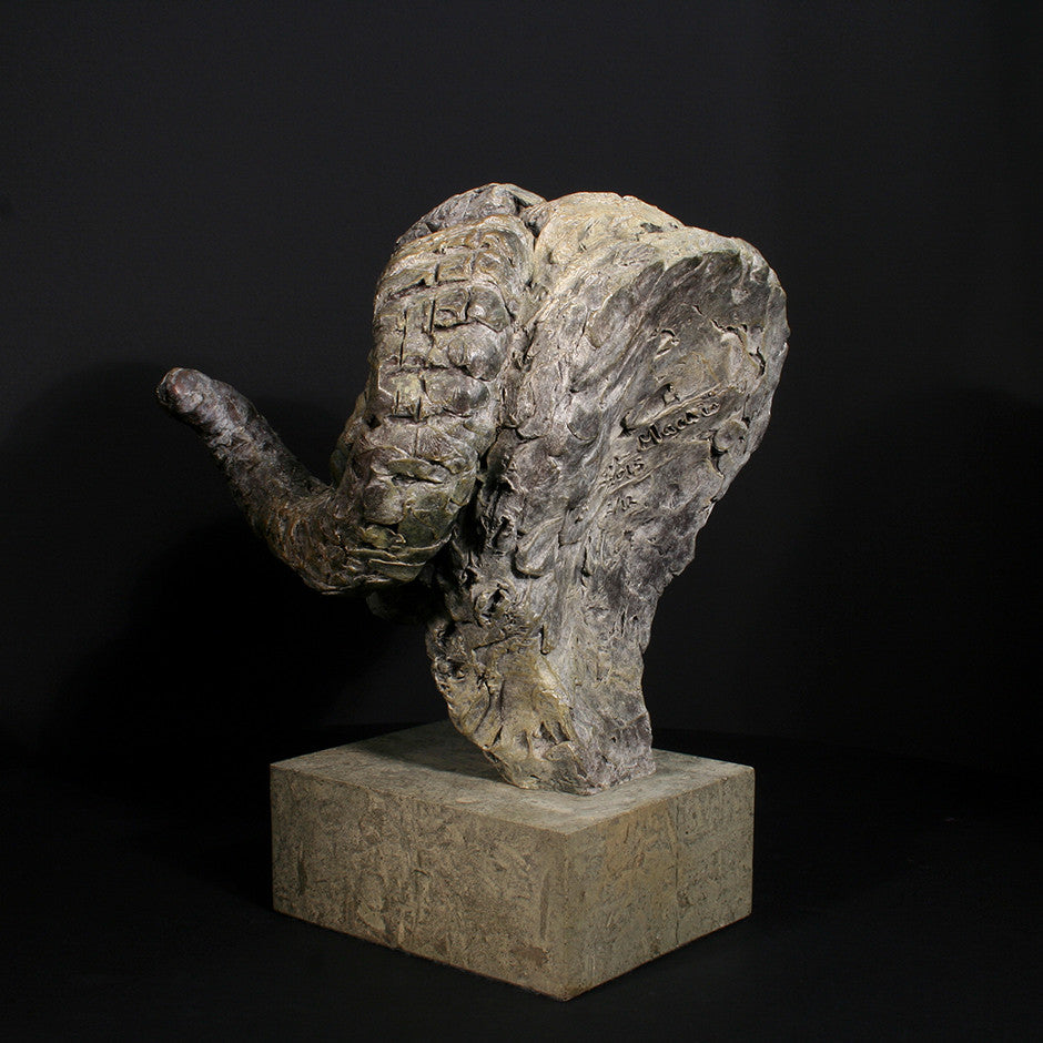 Merino Ram Head