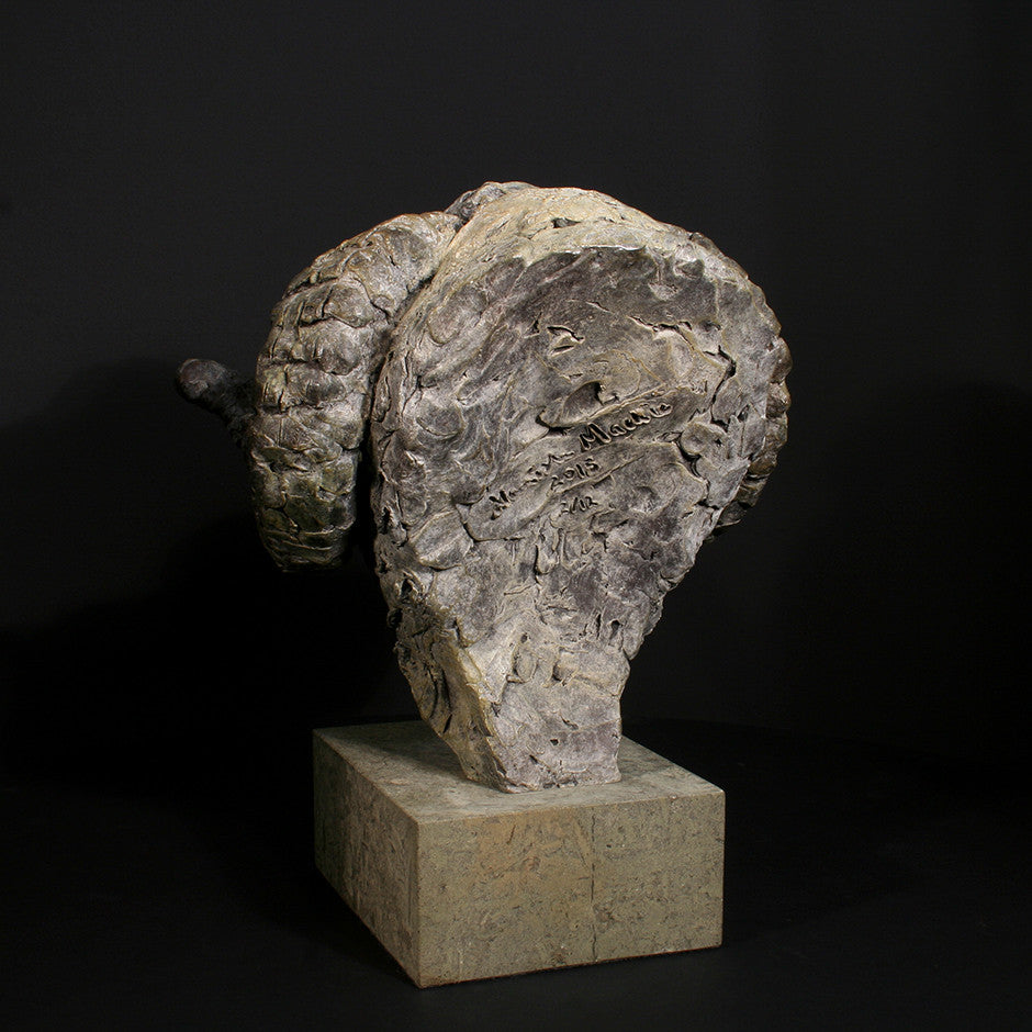 Merino Ram Head