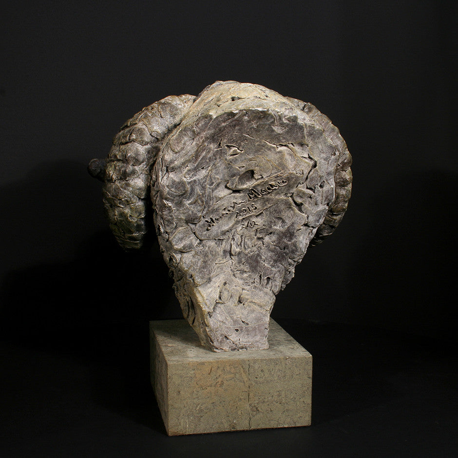 Merino Ram Head