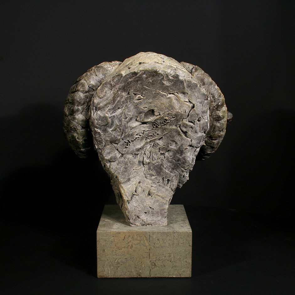 Merino Ram Head