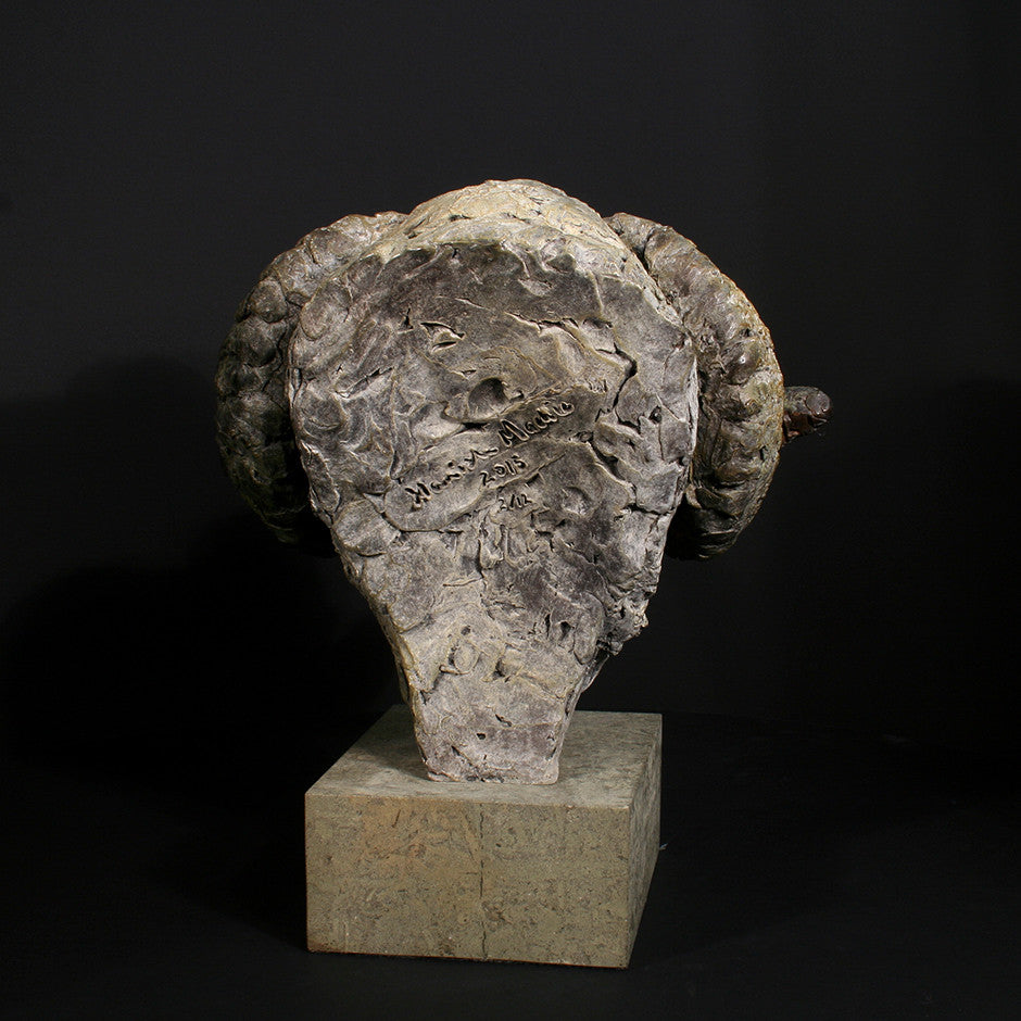 Merino Ram Head