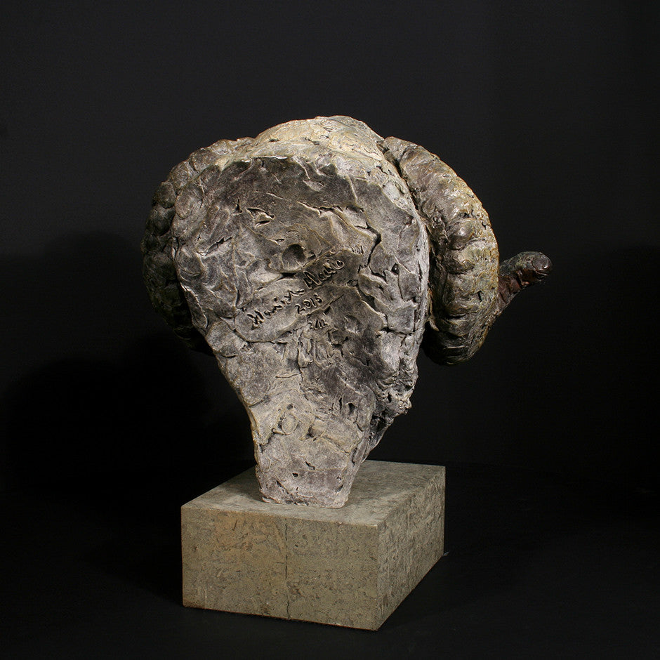 Merino Ram Head