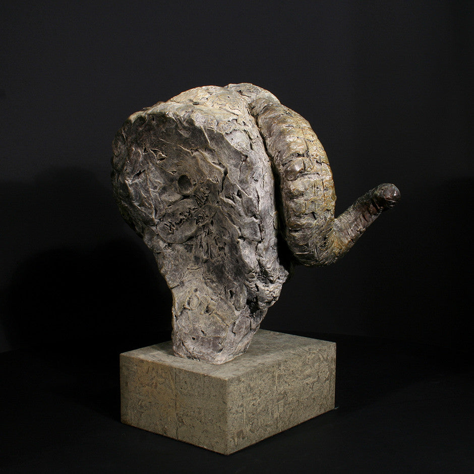 Merino Ram Head