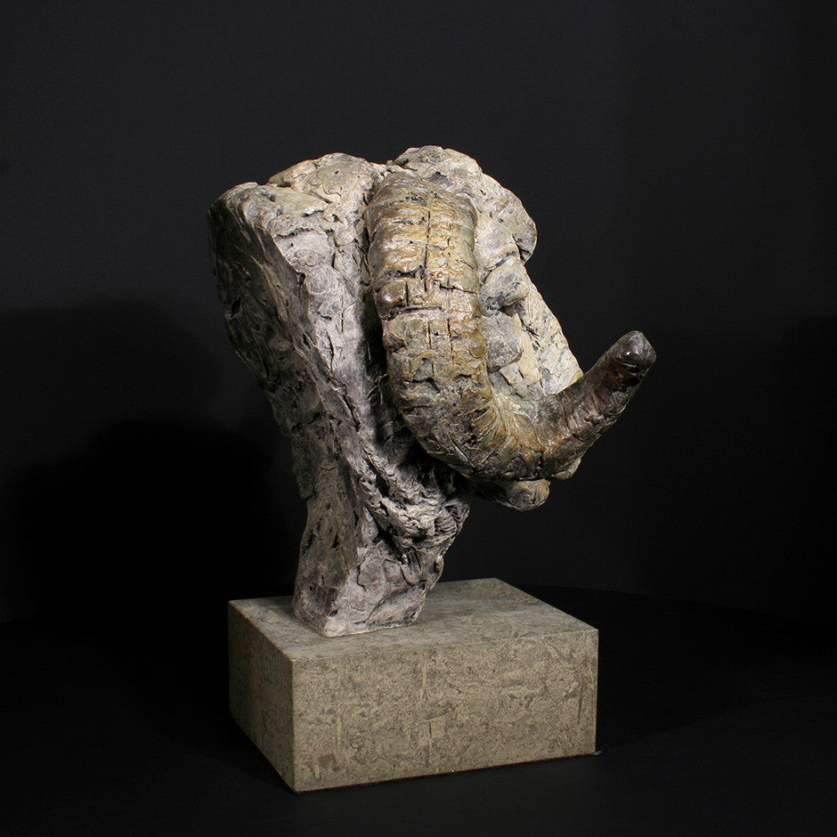 Merino Ram Head