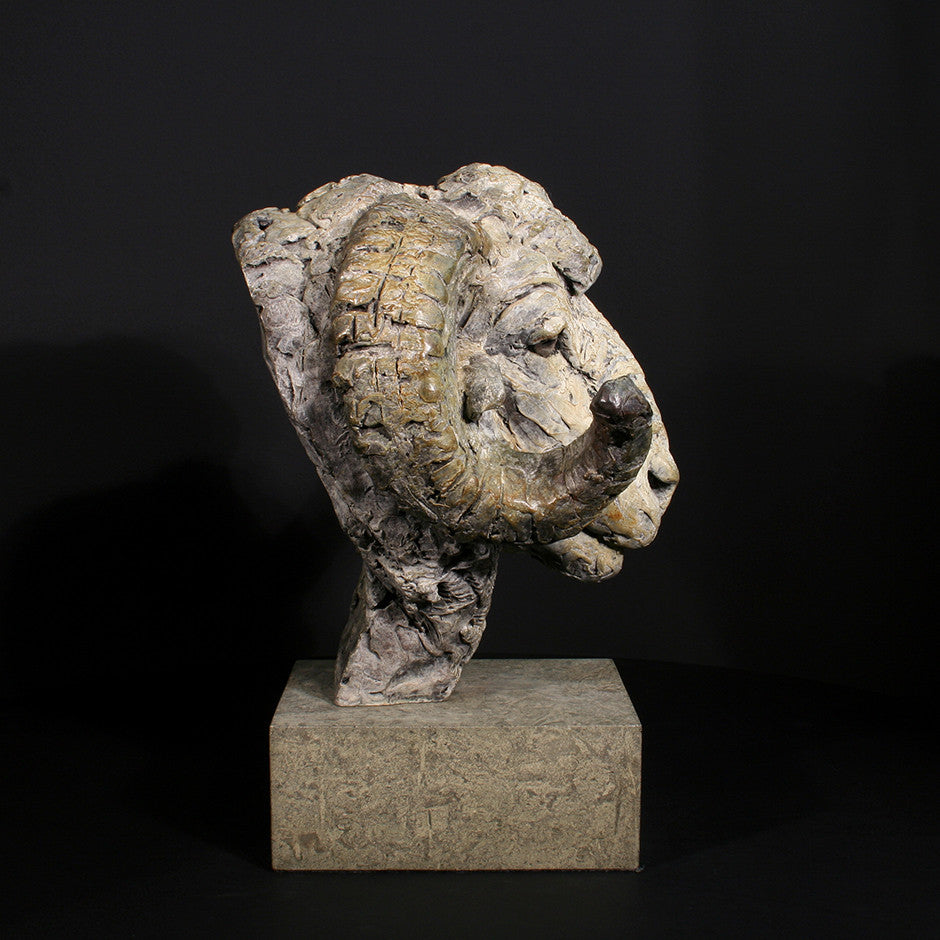 Merino Ram Head
