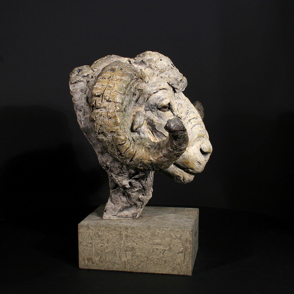 Merino Ram Head