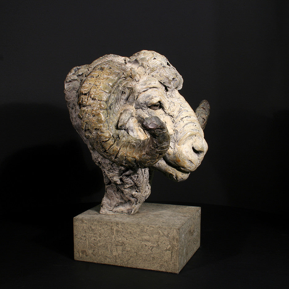 Merino Ram Head