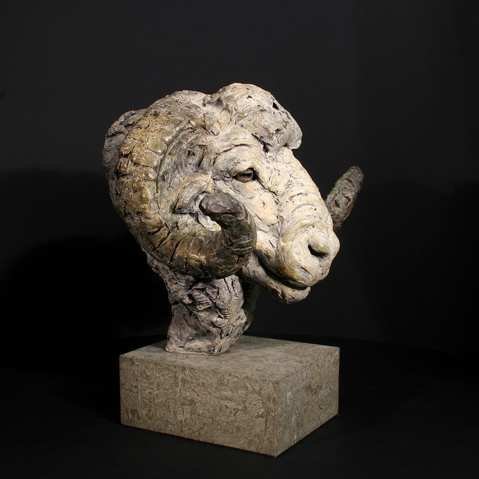Merino Ram Head