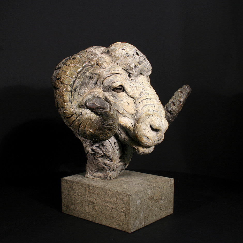 Merino Ram Head
