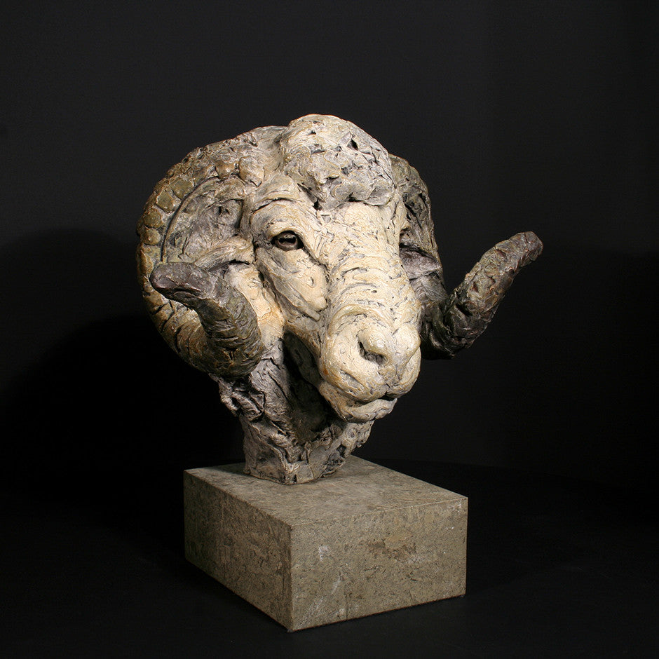 Merino Ram Head