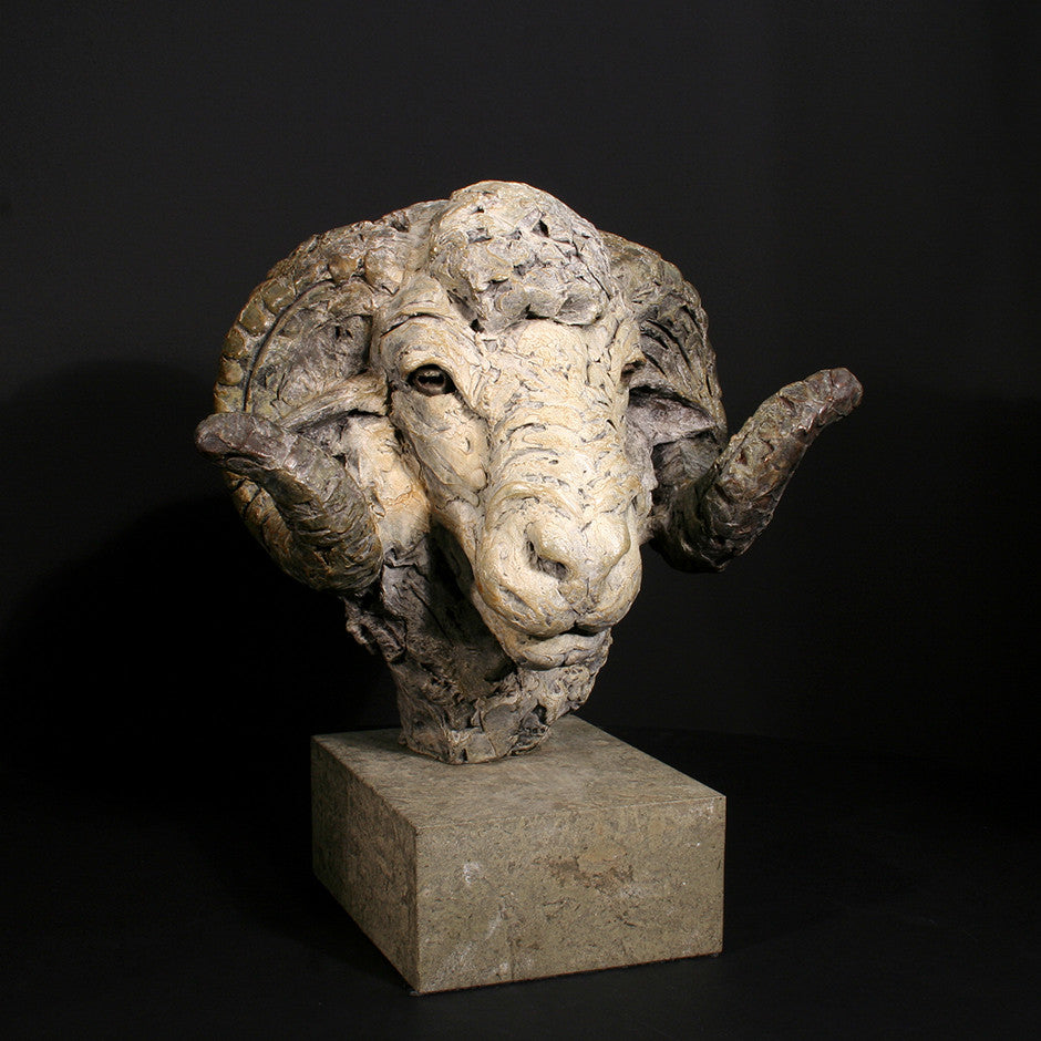 Merino Ram Head