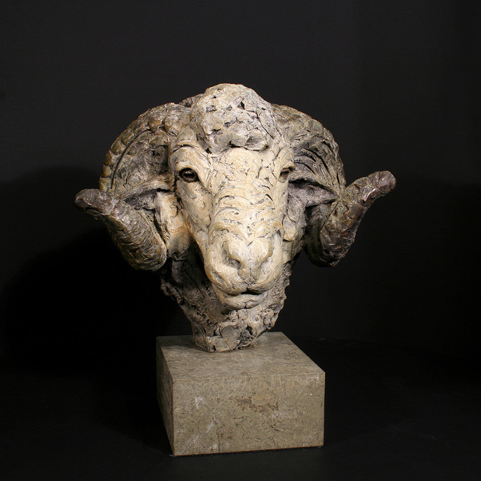 Merino Ram Head