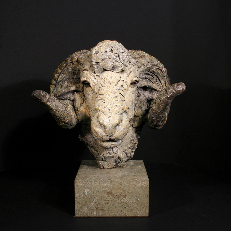 Merino Ram Head