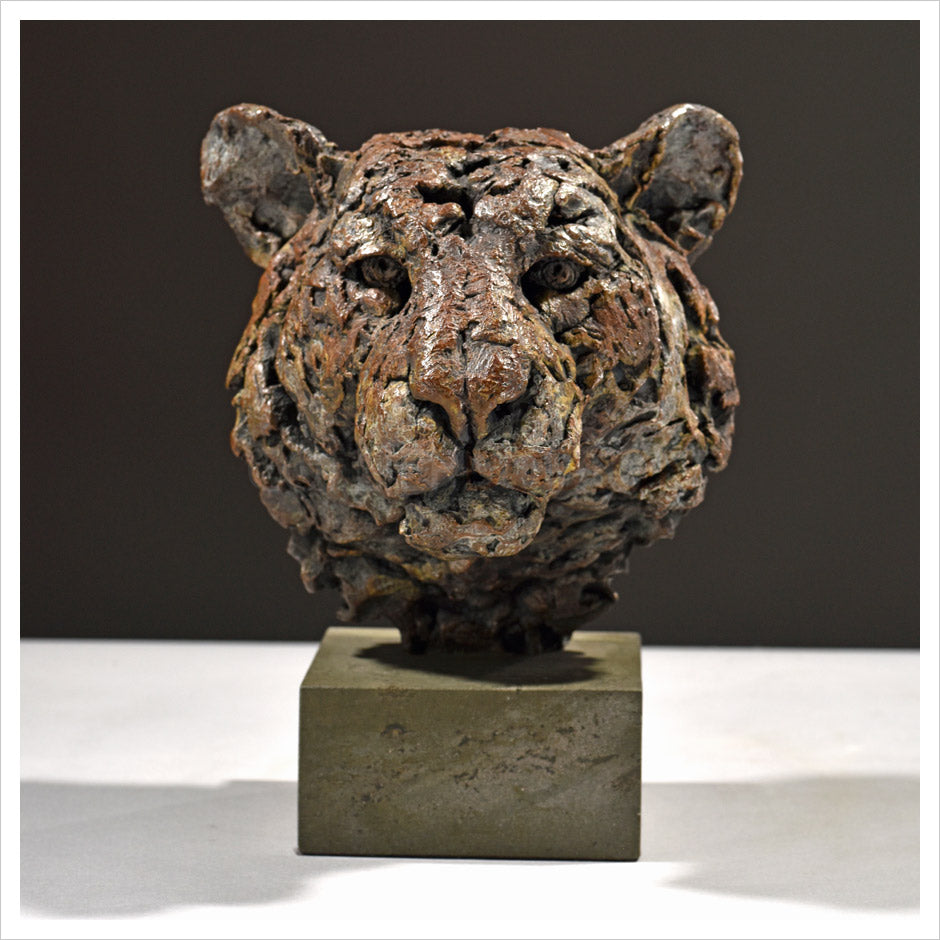Tiger Head Study by Hamish Mackie