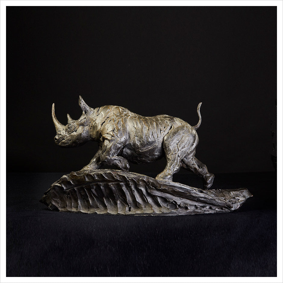 Black Rhino by Hamish Mackie