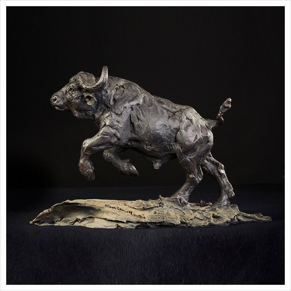 Cape Buffalo Charging by Hamish Mackie