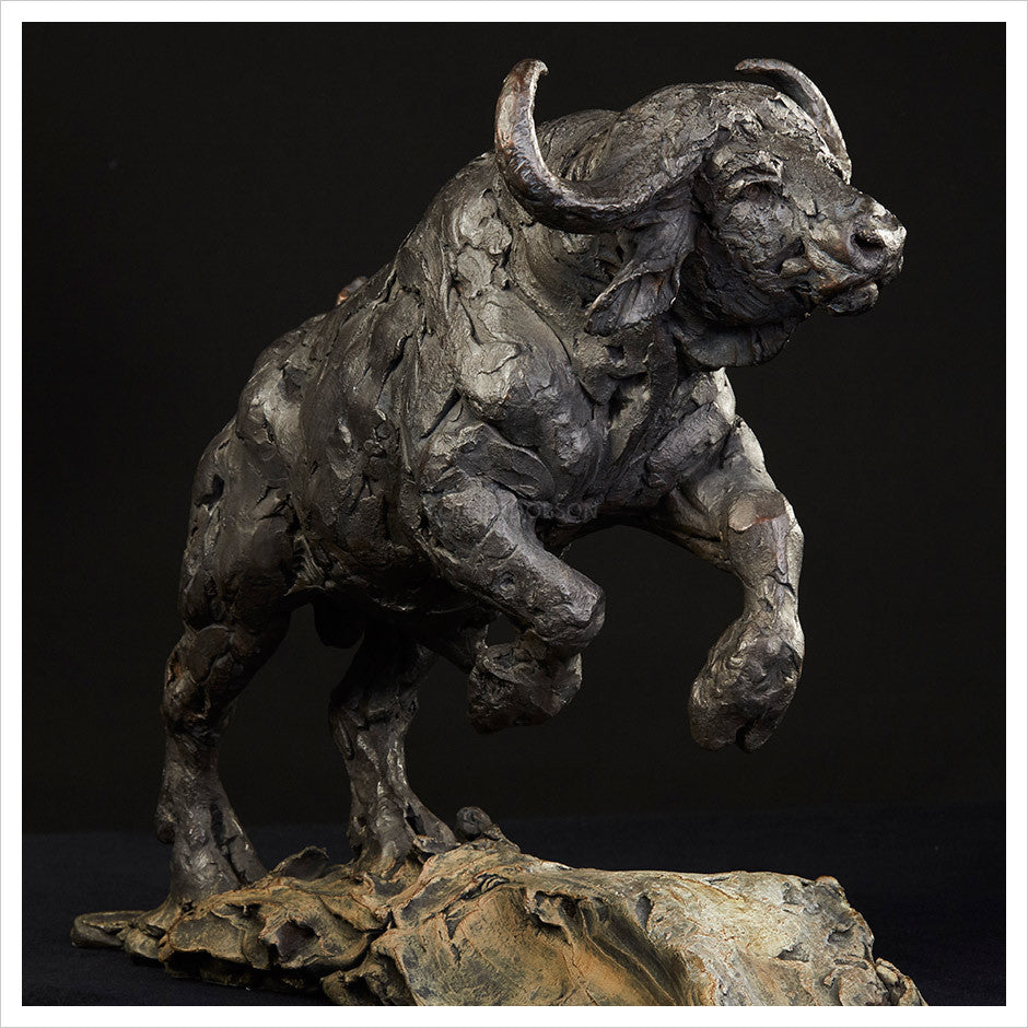Cape Buffalo Charging by Hamish Mackie