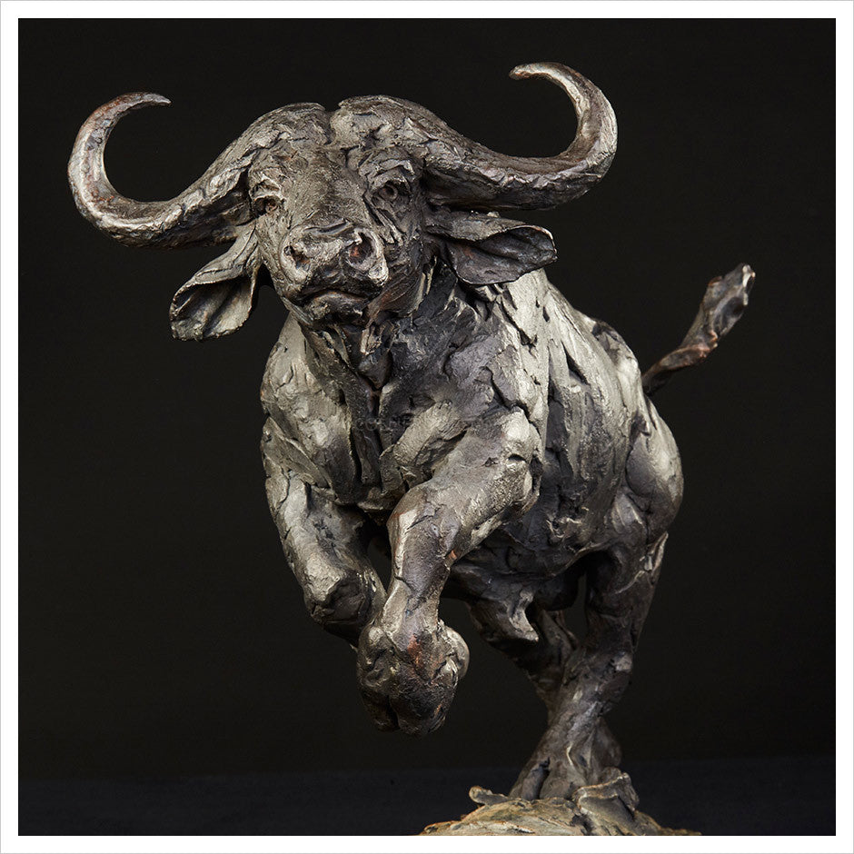 Cape Buffalo Charging by Hamish Mackie