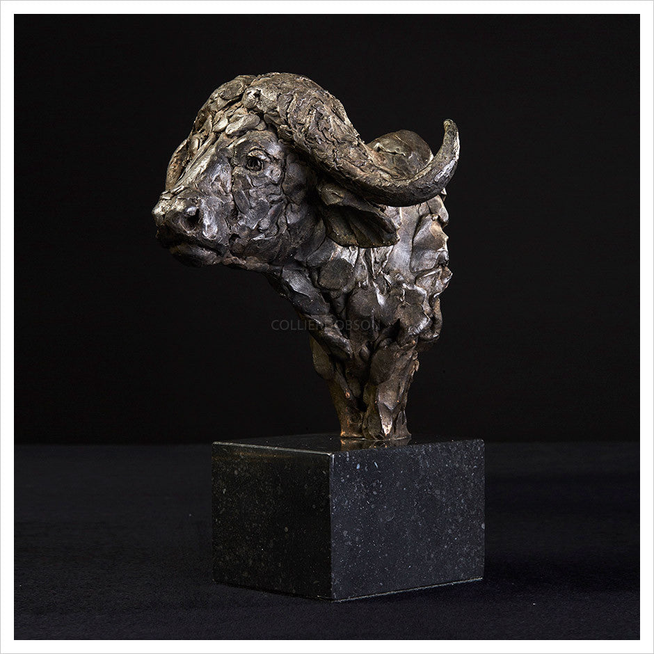 Cape Buffalo Head Study by Hamish Mackie