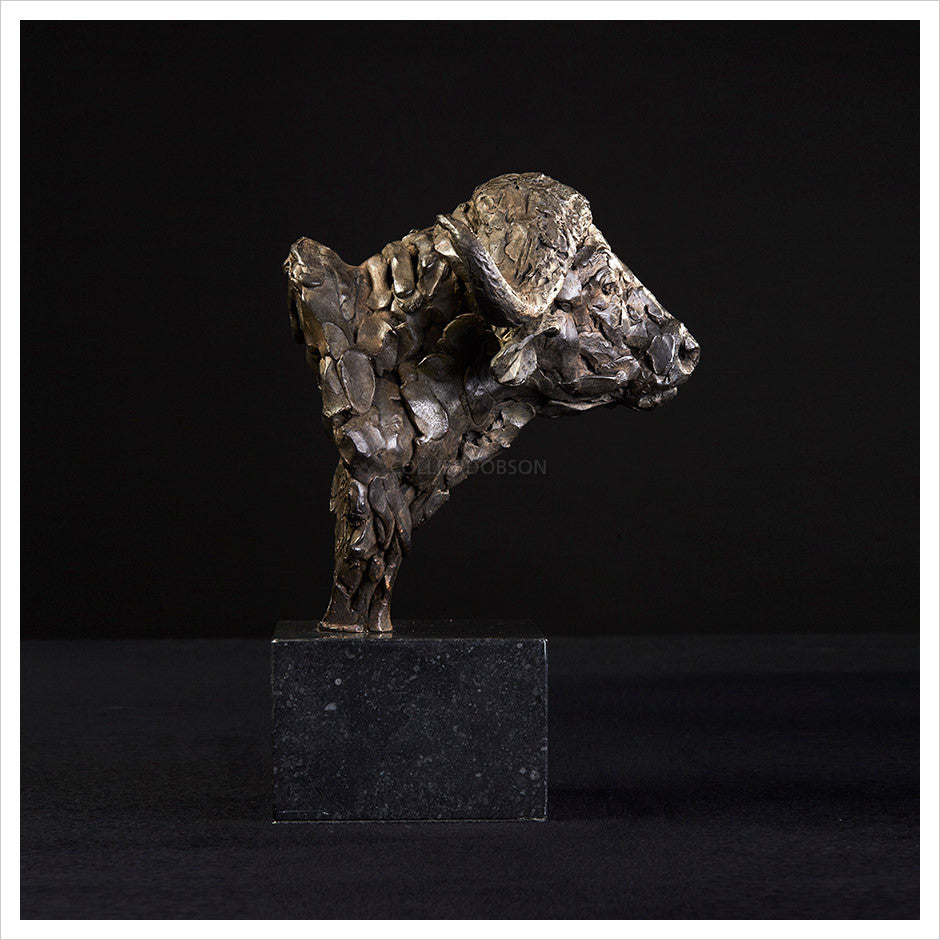 Cape Buffalo Head Study by Hamish Mackie