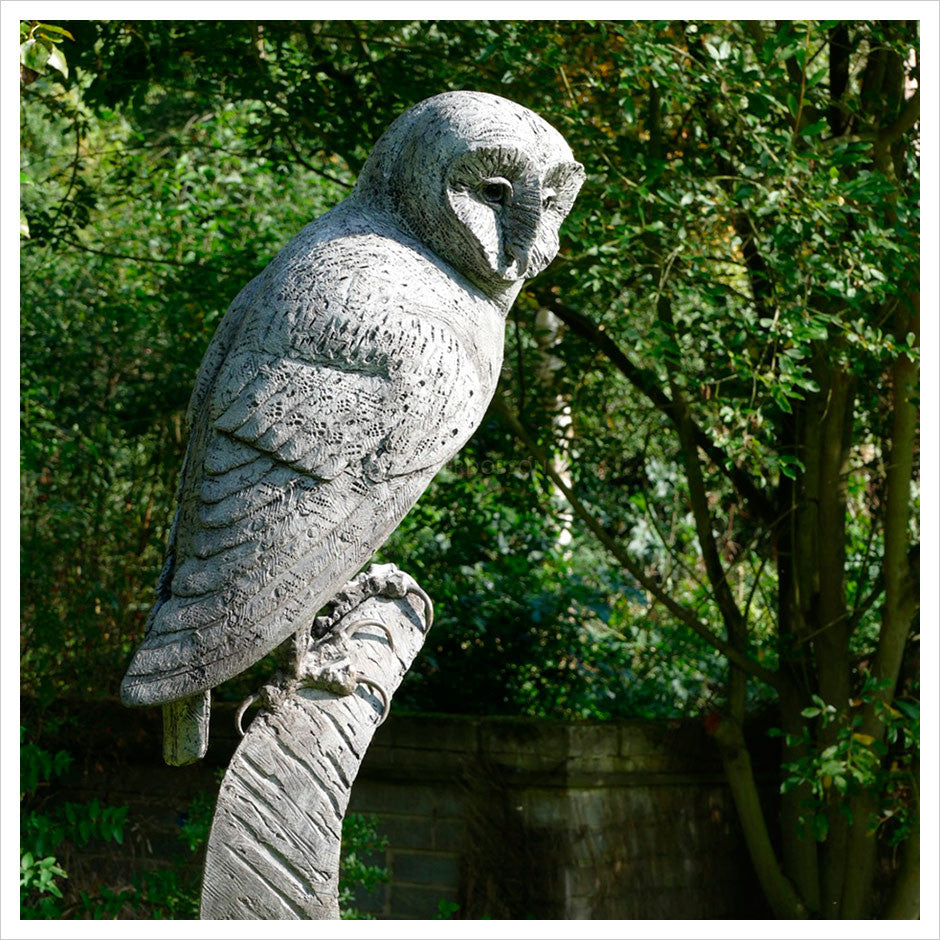 Monumental Owl by Hamish Mackie