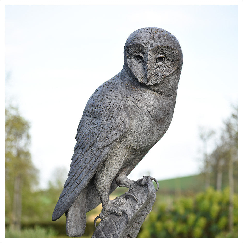 Monumental Owl by Hamish Mackie
